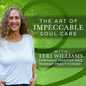 The Art of Impeccable Soul Care with Teri Williams - Mind Body Spirit.fm